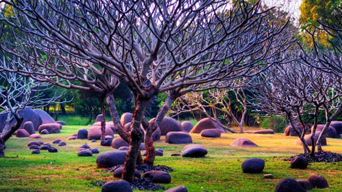 Auroville (Tamil Nadu)