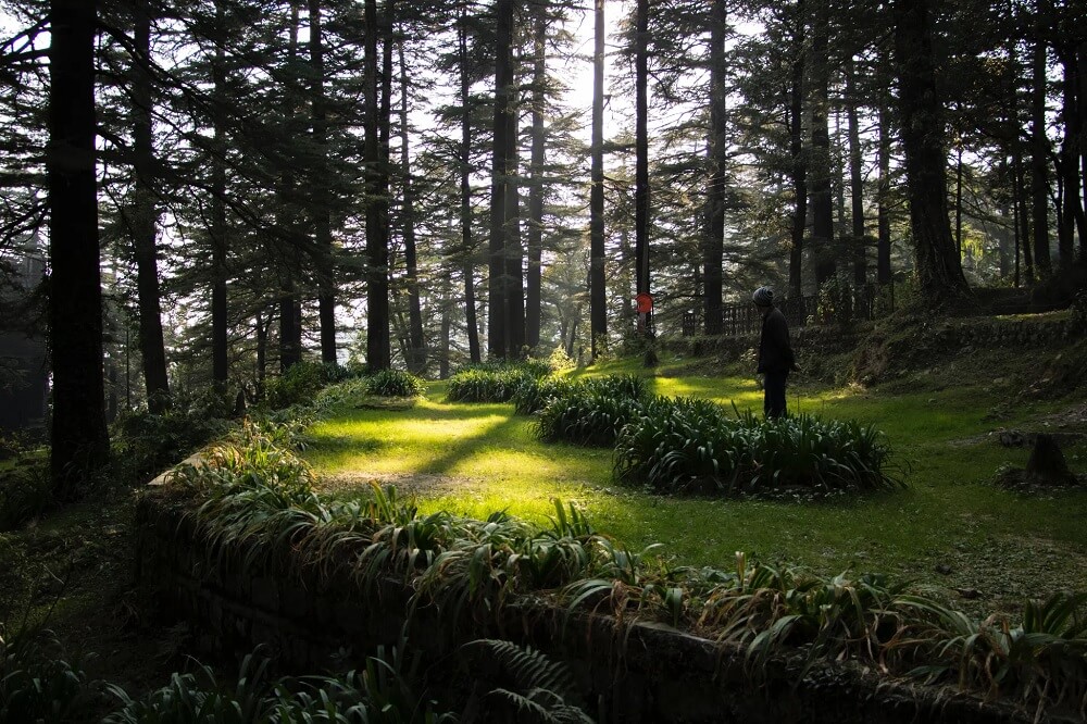 Cataratas Bhagsu en Dharamshala