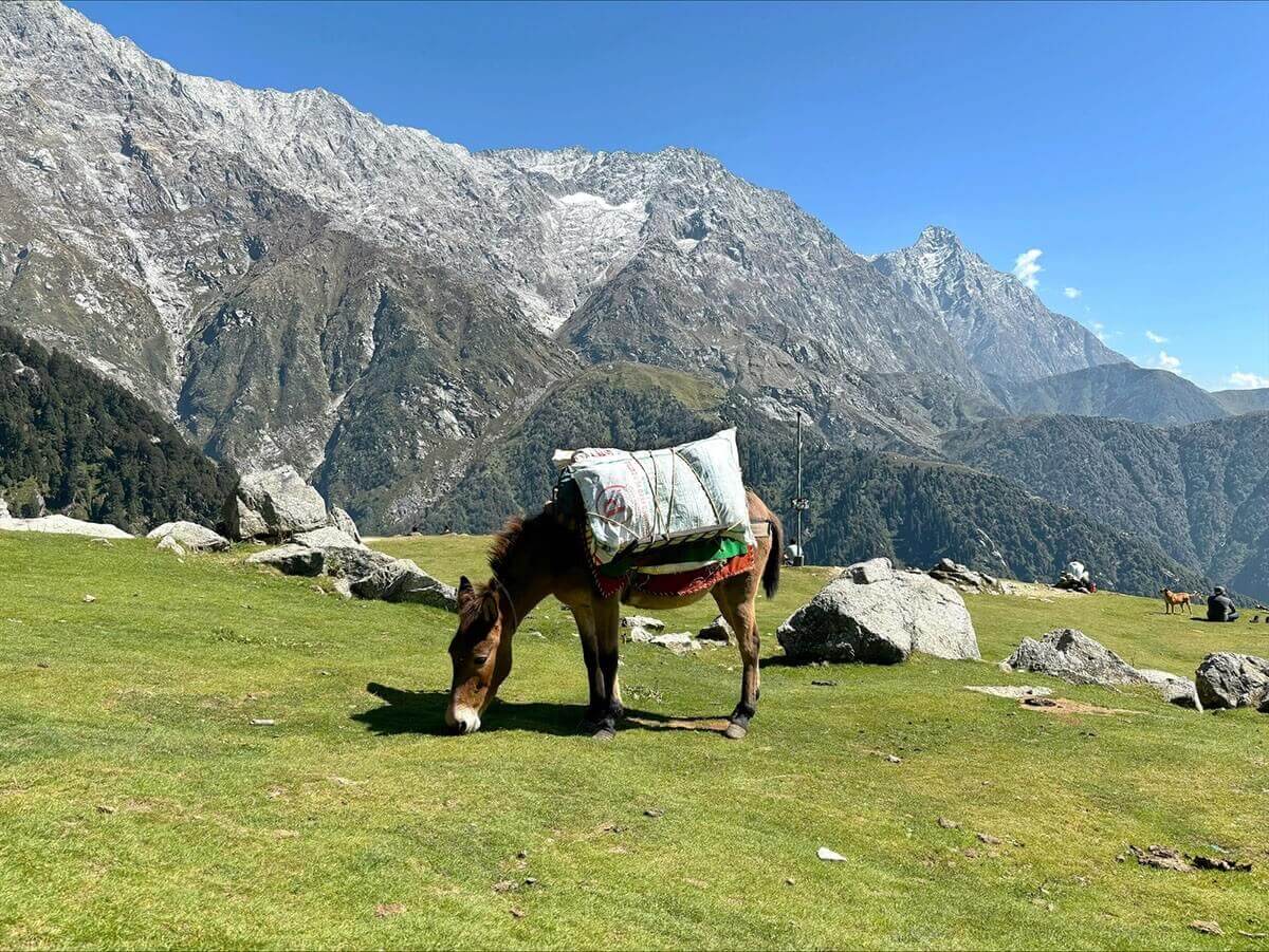 Senderismo en Triund