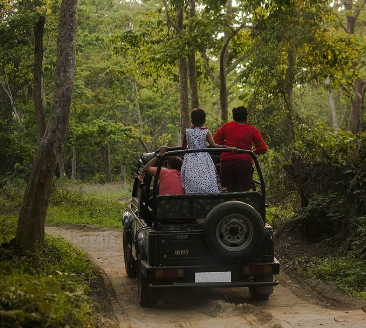 Safari en jeep en Kaziranga