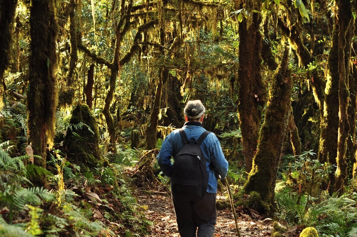 Caminata por la naturaleza en Kaziranga