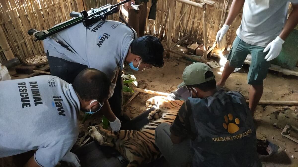 Centro de Rescate de Vida Silvestre de Kaziranga