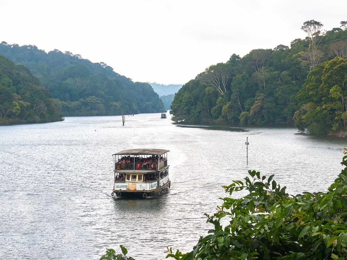 Paseo en barco por el Lago Periyar