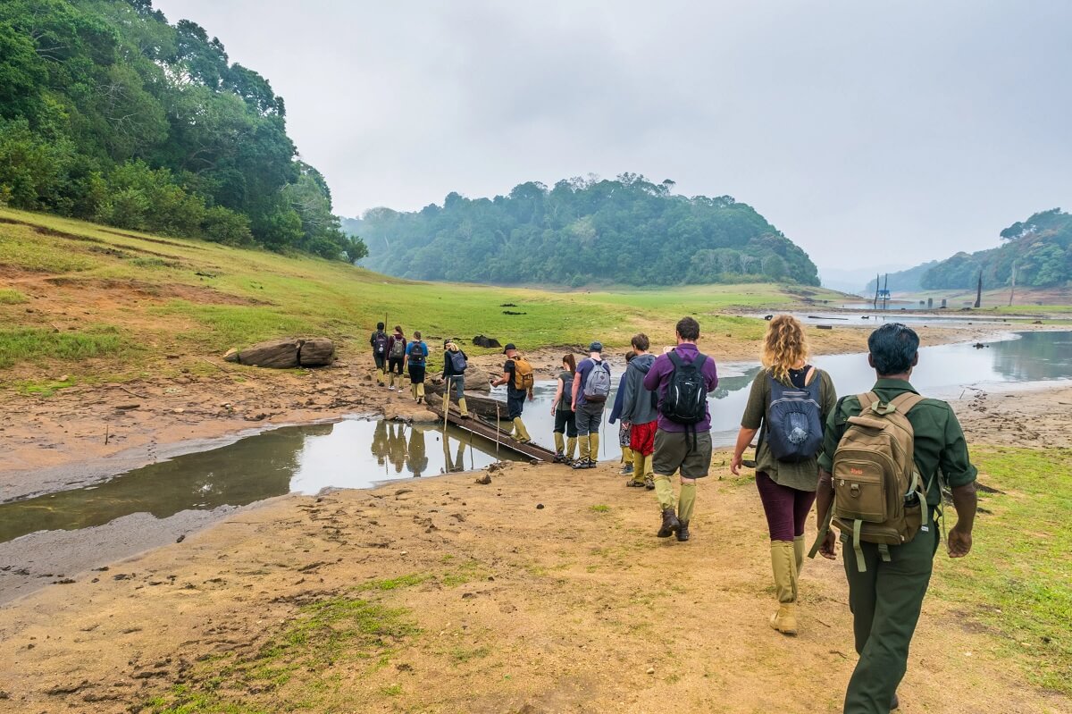 Caminata en Periyar